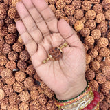 5 Mukhi Rudraksha Pendant with Panchaloham Caps (Double-Side)
