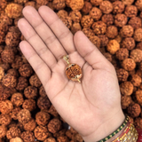 5 Mukhi Rudraksha Pendant with Panchaloham Caps (Single Side)
