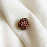 3 Mukhi Rudraksham