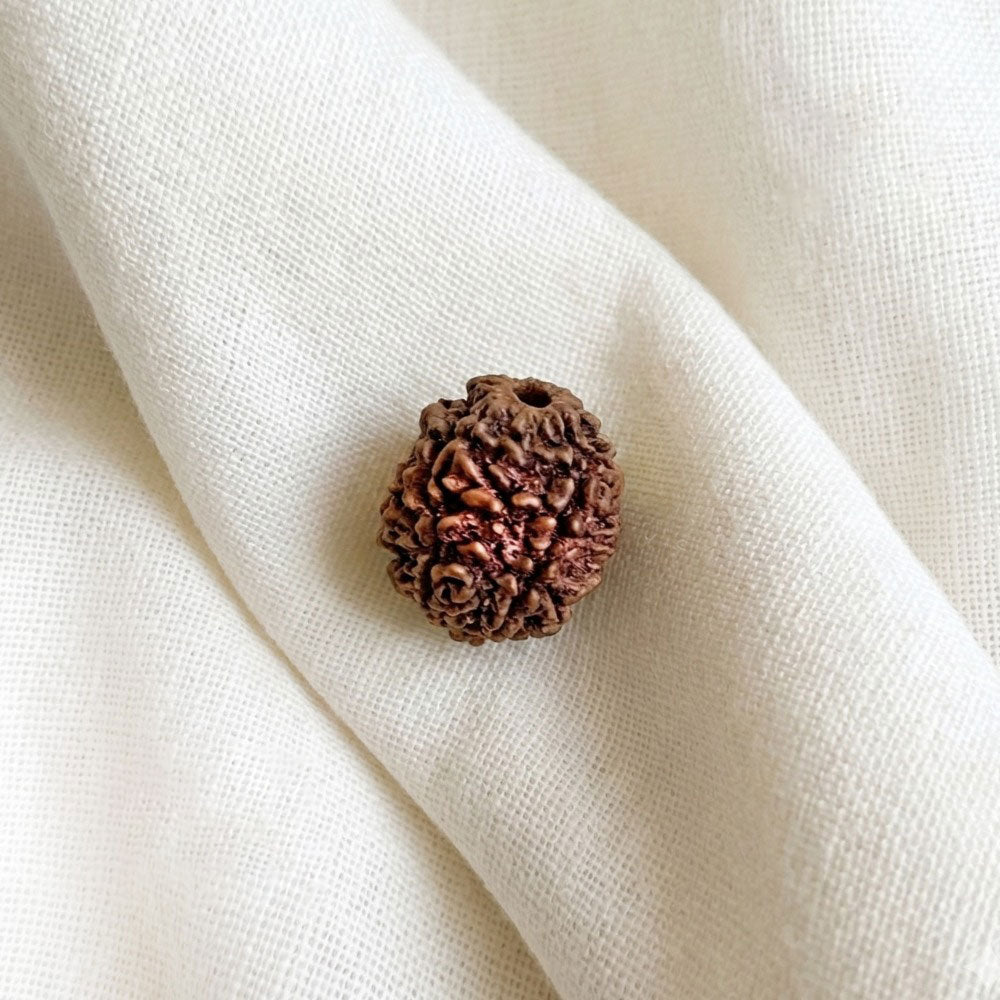 3 Mukhi Rudraksham